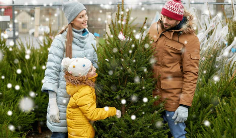 Una famiglia sceglie il proprio albero di Natale